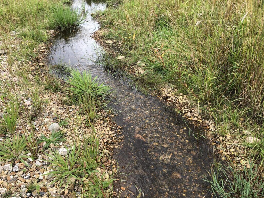 Genskabelse af Rahbæk