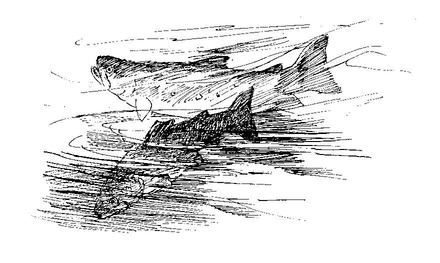 Konstituering af bestyrelsen