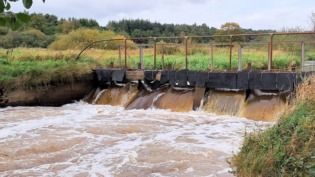 Skjern Å "Forvirringen