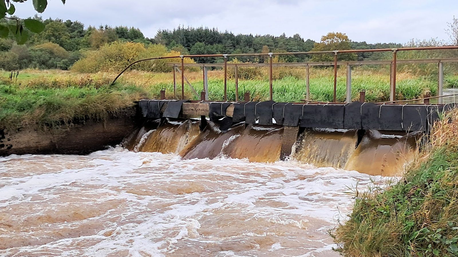 Skjern Å "Forvirringen
