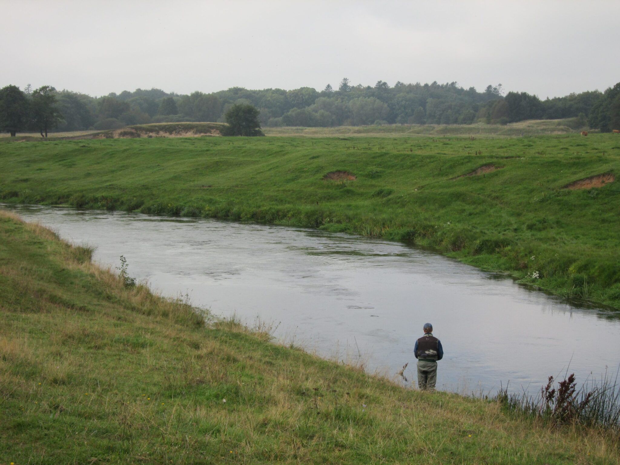 Fiskeri ved Skjern Å